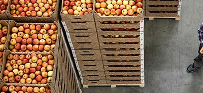 Food Traceability: Lets get your Records Straight
