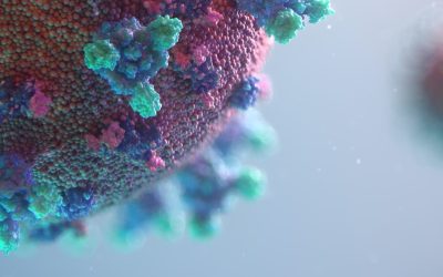 Norovirus outbreaks in the food industry – how to avoid them