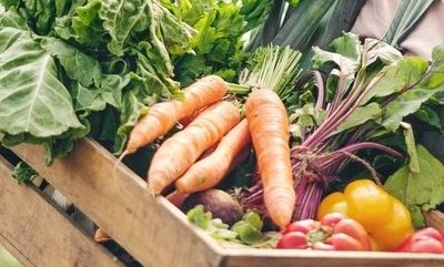 What to look for when choosing a food supplier 