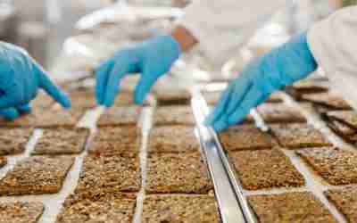Foreign body contamination in food: what to do when found in manufacturing